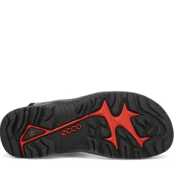 Men's Ecco, Yucatan Sandal